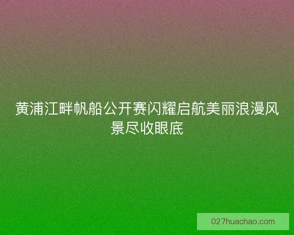 黄浦江畔帆船公开赛闪耀启航美丽浪漫风景尽收眼底